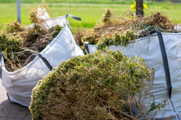 Best Same-Day Junk Removal  in Union City, TN